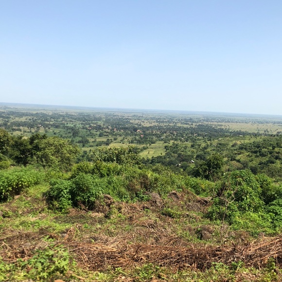 Meet your Posher, Maddy - Picture 1 of 1